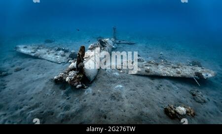 The Mitsubishi Zero Wreck, Kimbe Bay, Papua New Guinea. Stock Photo