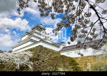 Tsuruga-jo Castle or Wakamatsu castle in Aizu-Wakamatsu City in Fukushima Prefecture, Japan in spring Saruka flowers in full bloom with a very beautif Stock Photo