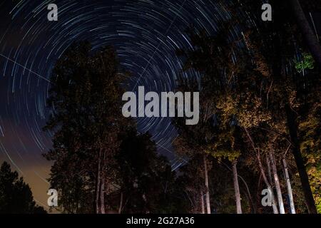 The view above our campfire. Stock Photo