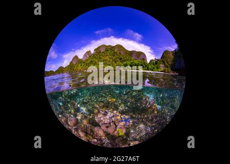 Split-shot image with shallow coral reef, purple starfish and topside topography in Raja Ampat, Indonesia. Stock Photo