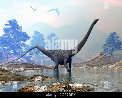 Diplodocus dinosaur walking peacefully in the water. Stock Photo