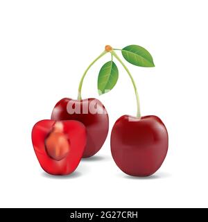 Cherry Healthy Organic Fresh Fruit Summer Isolated Vector Illustration Stock Vector