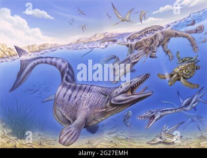 Reconstruction of the fauna in Lembe's Ocean during the Late Cretaceous, based on the Coniacian. Pictured are; Angolasaurus, Tylosaurus, Angolachelys, Stock Photo