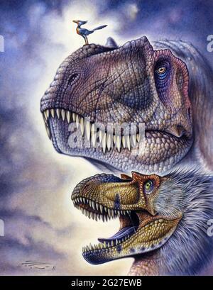 Acrylic painting of Albertosaurus, Gorgosaurus and Enantiornithes. Stock Photo