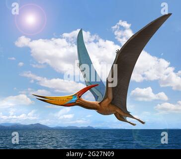 A large flying reptile, Pteranodon, flying over the ocean. Stock Photo