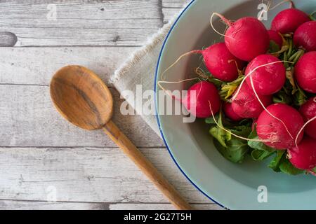 Red radish on rustic wooden table background with copy space Stock Photo