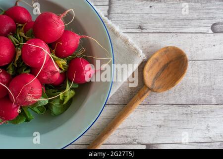 Red radish on rustic wooden table background with copy space Stock Photo
