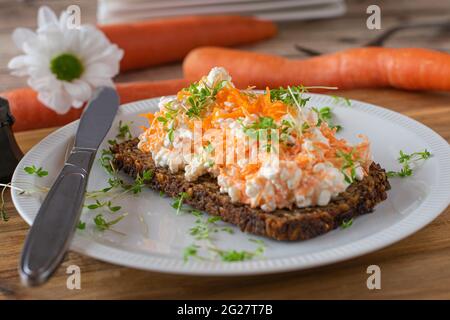 Sandwich with cottage cheese and grated carrots on a plate Stock Photo