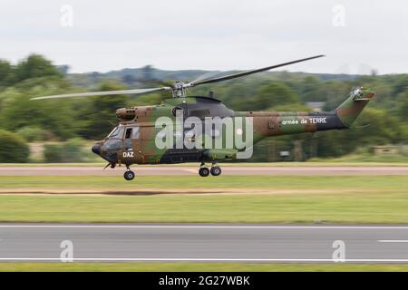 A French Army Eurocopter Puma taking off. Stock Photo