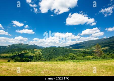 rural field in mountains. beautiful nature landscape. sunny summer day. clouds on the sky. travel back country concept Stock Photo