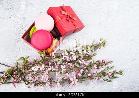 Macaroons cookies in a beautiful gift box with flowering branches on a light background. Stock Photo