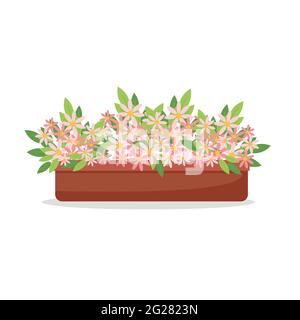 Pink daisies in a pot, houseplants, cute pink flowers, vector illustration in flat style, cartoon Stock Vector