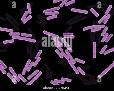 Microscopic x-ray view of Clostridium perfringens bacteria.
