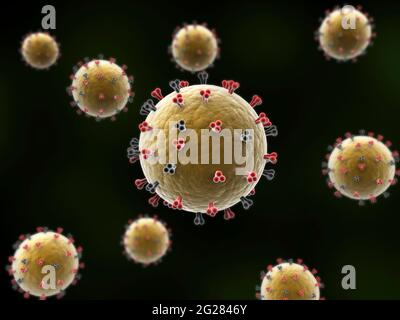 Microscopic view of the eastern equine encephalitis disease floating on black background.