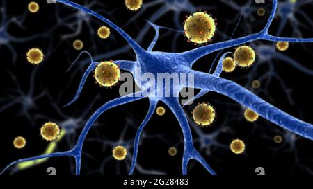 Biomedical illustration of the eastern equine encephalitis disease attaching to a neuron.