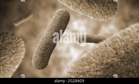 Microscopic view of Yersinia pestis bacteria floating. Stock Photo