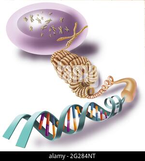 DNA and cell. Stock Photo