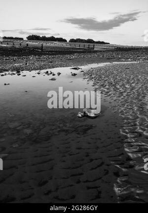 Low Tide, Worthing Beach, Sussex, UK Stock Photo