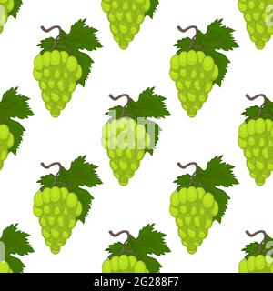 Seamless pattern with green bunches of grapes on a white background. Stock Vector