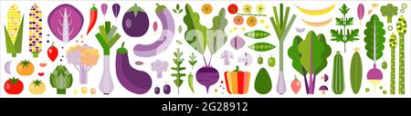 Fresh Farm Organic Vegetables Banner Stock Vector