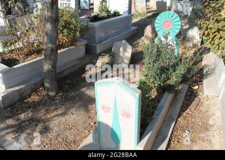 cemetery, tombstones, roses, trees Stock Photo