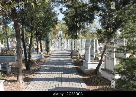 cemetery, tombstones, roses, trees Stock Photo