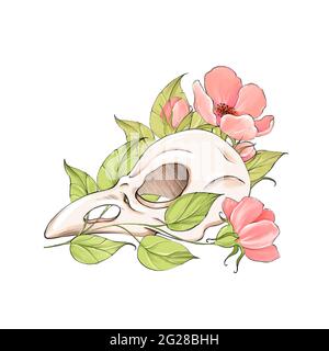 Bird Skull With Leaves And Flowers Tattoo Design Stock Photo Alamy