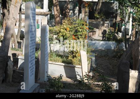 cemetery, tombstones, roses, trees Stock Photo