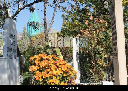 cemetery, tombstones, roses, trees Stock Photo