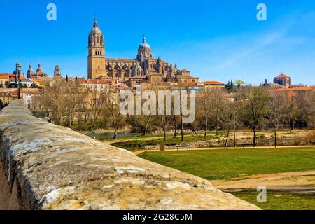 New Cathedral of Salamanca, Cathedral of the Asunción de María, Gothic Renaissance Baroque Style,16th-18th century, Spanish Property of Cultural Inter Stock Photo
