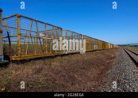 Long rake of empty bins waiting to be filled by the farmers with ...
