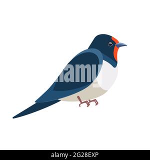 Swallows, martins, and saw-wings, or Hirundinidae, are a family of passerine birds. Bird Cartoon flat style beautiful character of ornithology, v Stock Vector