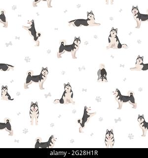 Alaskan malamute all colours seamless pattern. Different coat colors and poses set.  Vector illustration Stock Vector