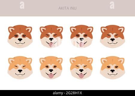 Akita Inu all colours clipart. Different coat colors set. Vector illustration Stock Vector