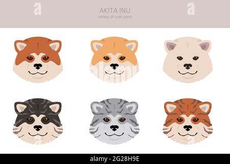 Akita Inu all colours clipart. Different coat colors set. Vector illustration Stock Vector