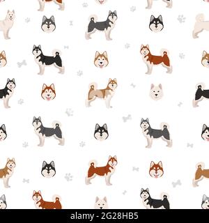 Alaskan malamute all colours seamless pattern. Different coat colors and poses set.  Vector illustration Stock Vector