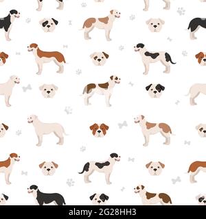 American bulldog all colours seamless pattern. Different coat colors set. Vector illustration Stock Vector