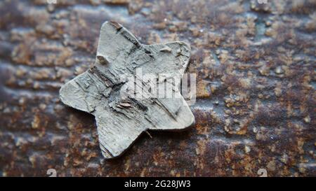 Bonn Germany January 2021 brown wooden star lies on brown stone tile with structure Stock Photo