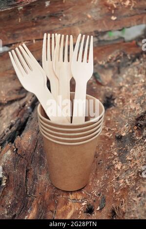 disposable paper tableware on wooden background in the forest in summer, zero waste concept Stock Photo