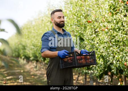 Working on organic modern farm outside, small business and healthy food Stock Photo