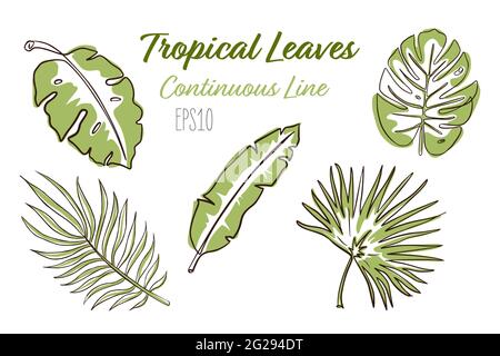 One line art style exotic floral items set. Hand drawn botatic isolated vector illustrations for logo, emblem template, web, prints Stock Vector