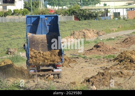 Truck depositing mountains of manure in an agricultural orchard Stock Photo