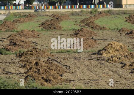 Mountains of manure in a farm garden Stock Photo