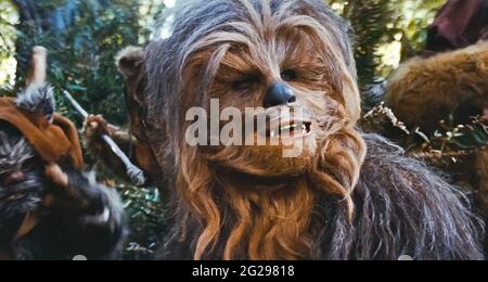 Star Wars - O Despertar da Força: Conheça o ator que substituiu Peter  Mayhew como Chewbacca - Notícias de cinema - AdoroCinema