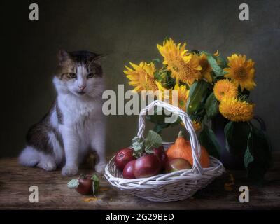 Autumn still life with splendid bouquet of flowers and curious cat Stock Photo