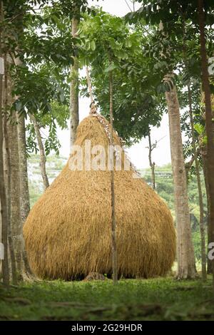 A small straw turn Stock Photo