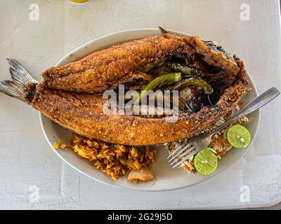 Fried fish. fried smooth fish. Mullet, Flat-headed mullet. Mullet. mullet fish, serrano peppers, lemons,. sea food. Seafood , Food, food, Meals, food. Stock Photo