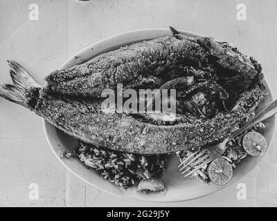 Fried fish. fried smooth fish. Mullet, Flat-headed mullet. Mullet. mullet fish, serrano peppers, lemons,. sea food. Seafood , Food, food, Meals, food. Stock Photo