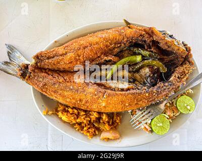 Fried fish. fried smooth fish. Mullet, Flat-headed mullet. Mullet. mullet fish, serrano peppers, lemons,. sea food. Seafood , Food, food, Meals, food. Stock Photo