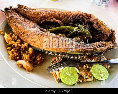 Fried fish. fried smooth fish. Mullet, Flat-headed mullet. Mullet. mullet fish, serrano peppers, lemons,. sea food. Seafood , Food, food, Meals, food. Stock Photo